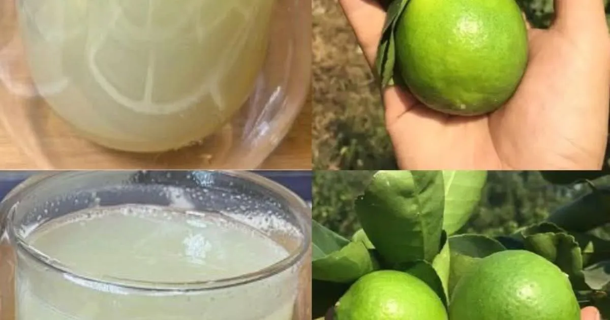 A refreshing drink made with Honey Lemon and Ginger slices in a clear glass.